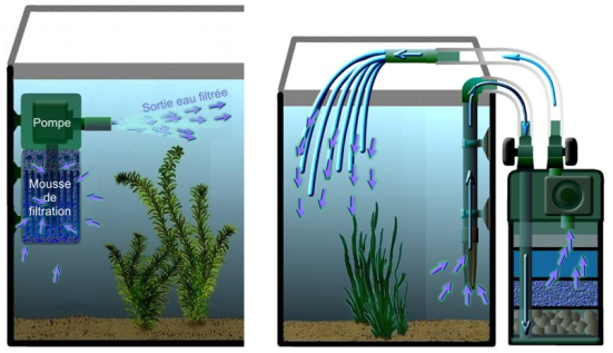 Filltration aquarium, filtration interne, filtration externe